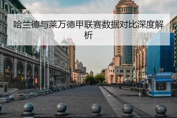 哈兰德与莱万德甲联赛数据对比深度解析